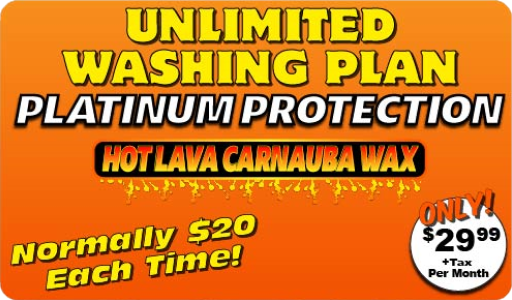 Monthly Platinum Protection - $29.99 per month